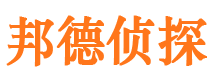 莱西邦德私家侦探公司